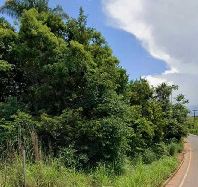 Terreno no João de barro. Bem na entrada do bairro. - Foto 4