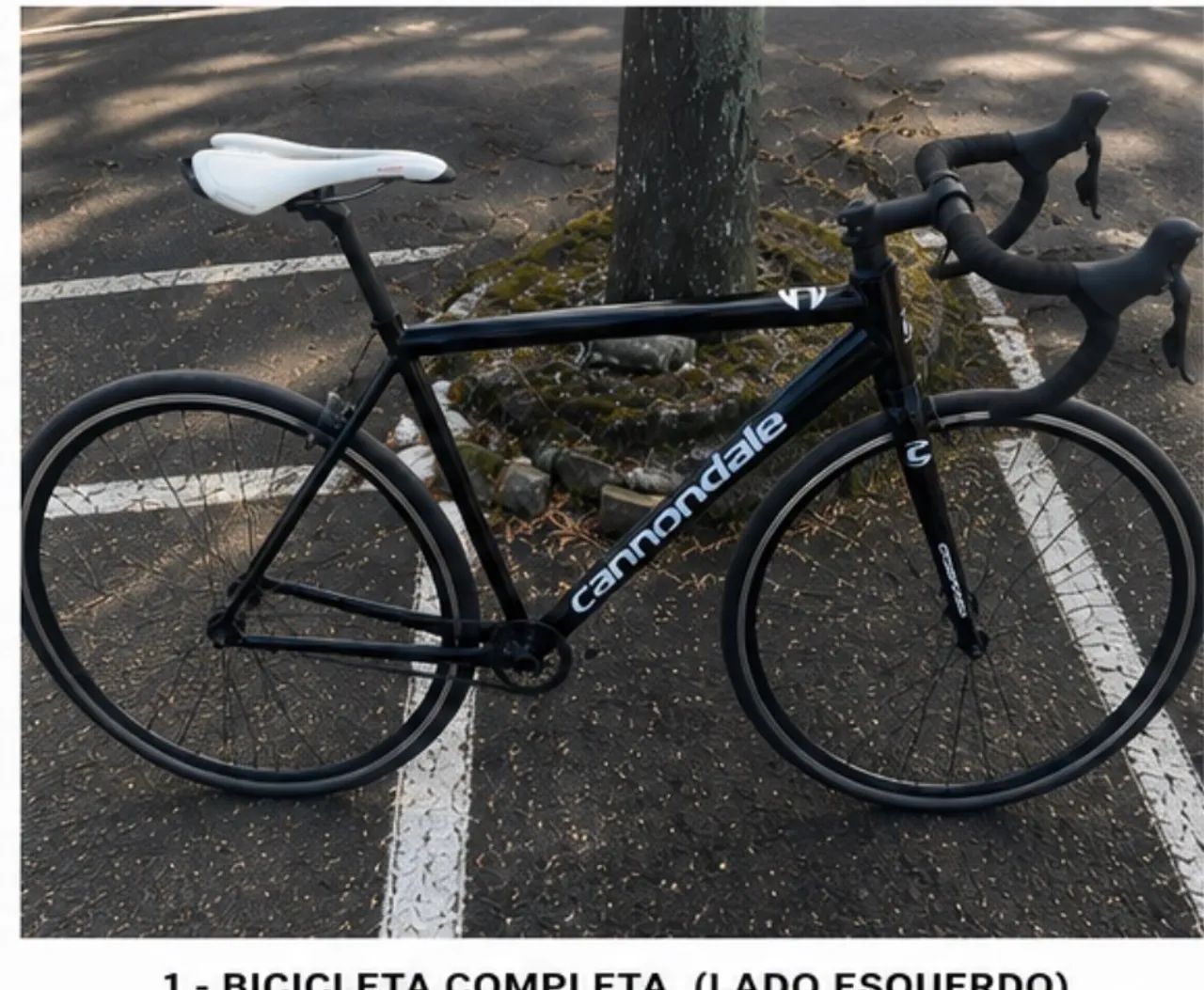 Frame Speed Tamanho 54