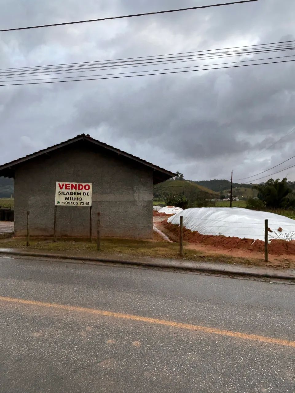 Silagem, silo de milho