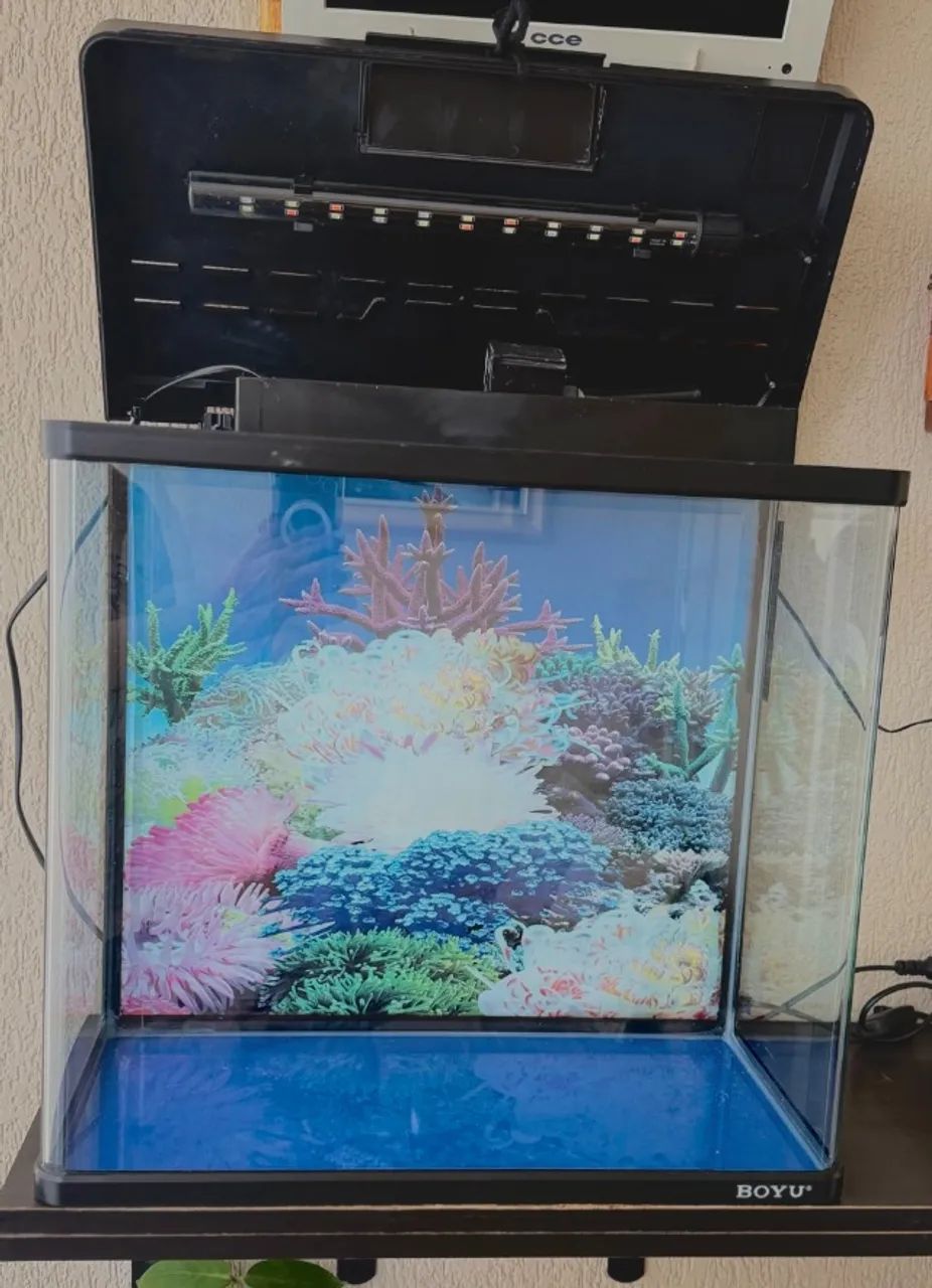 aquário boyo agua doce 40 litros - Foto 3