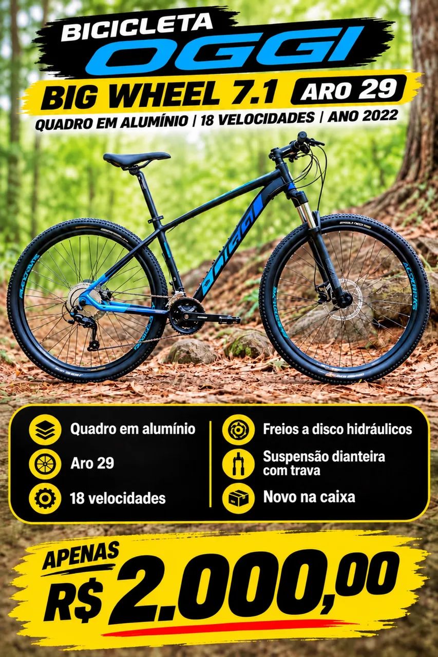 Bicicleta 
