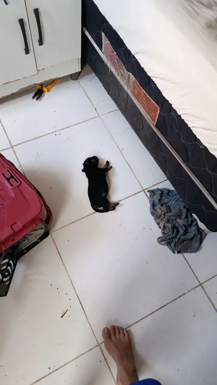 Aluga-se Kit Net em outeiro.
