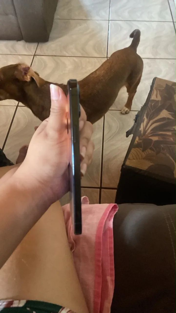 iPhone 12 Pro Max 
