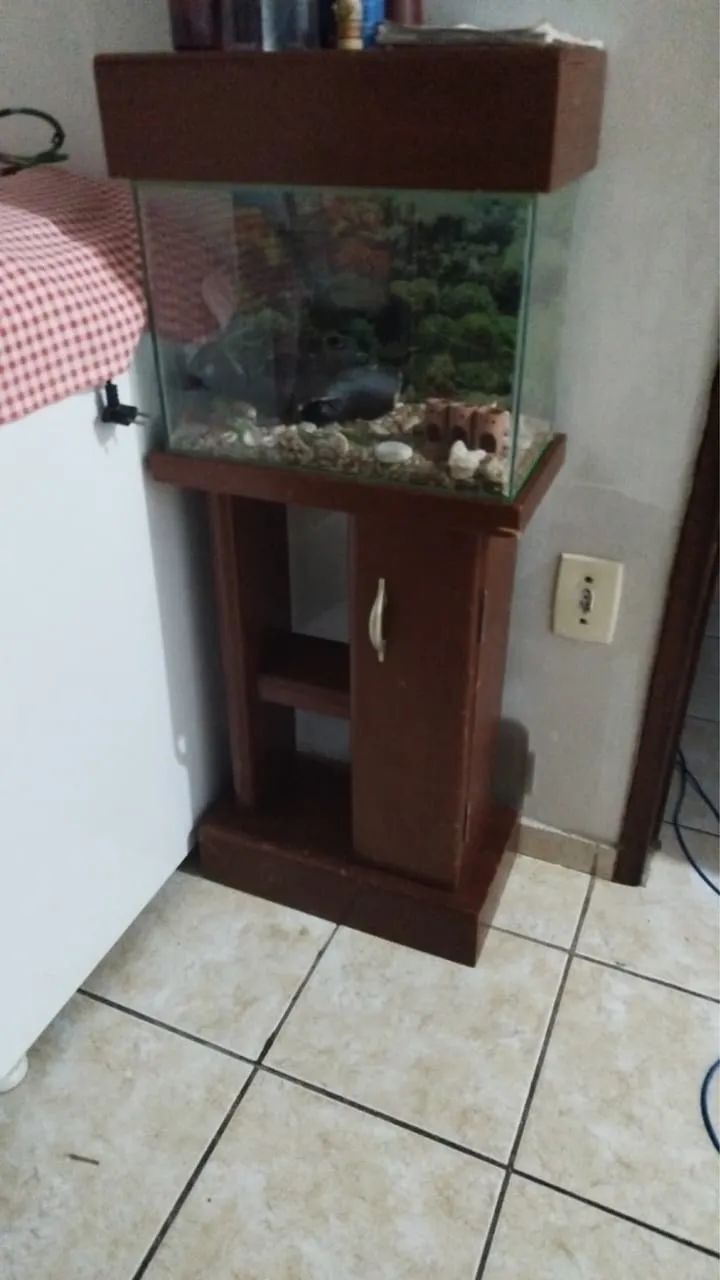 Aquário 20L Completo + Móvel planejado - Foto 2