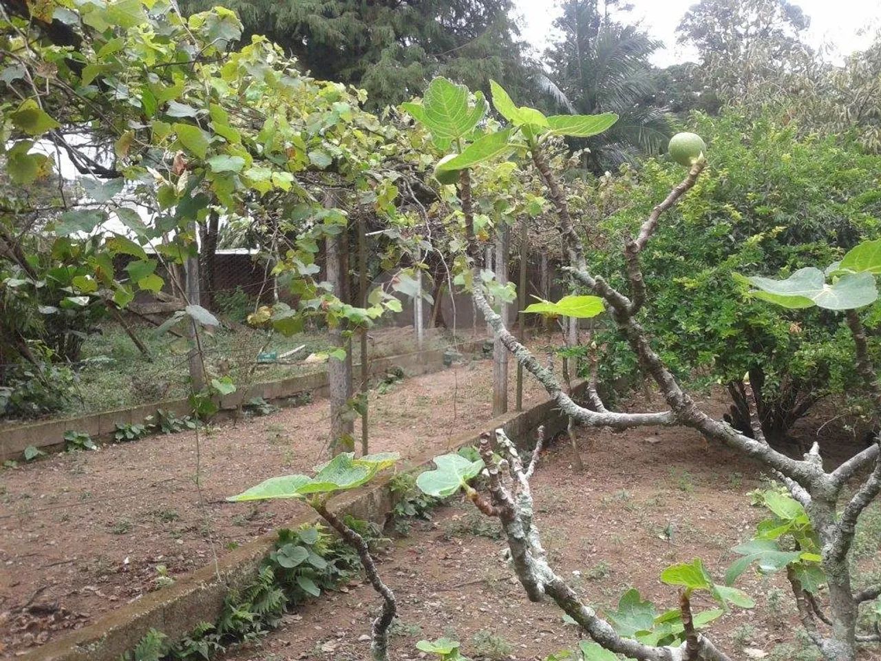 Terreno à venda em Horto florestal - SP - Foto 5