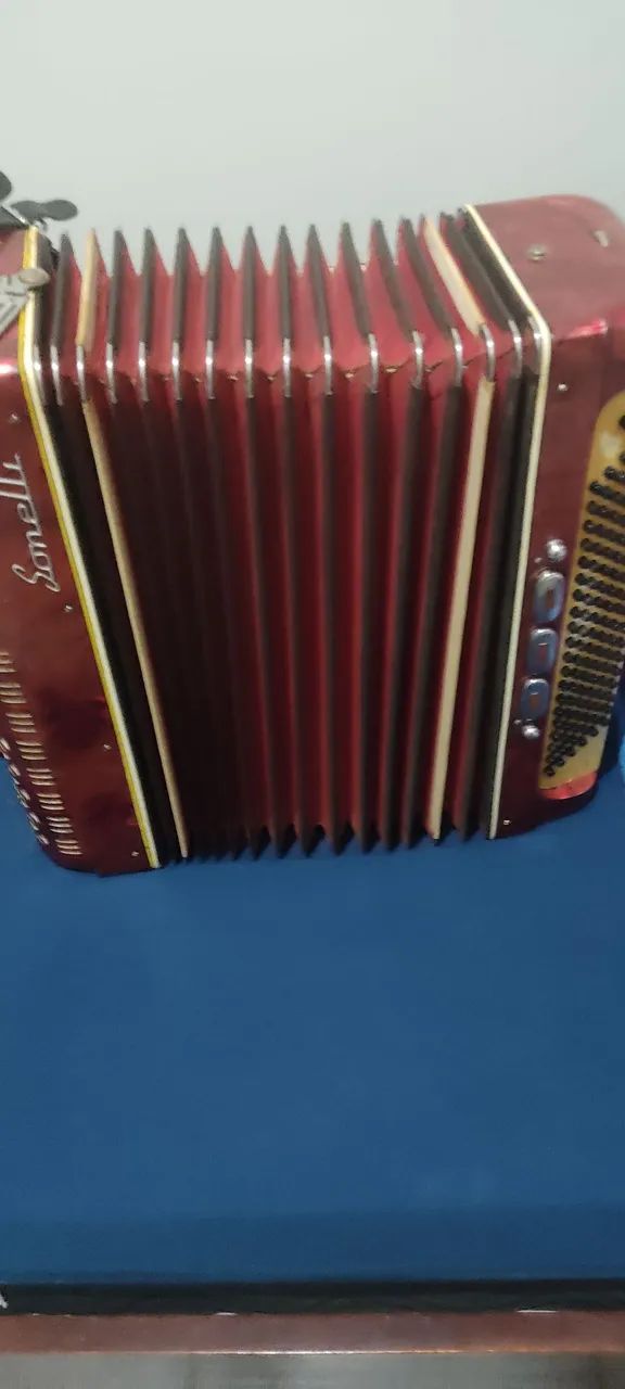 Acordeon sonelli 120 - Foto 2