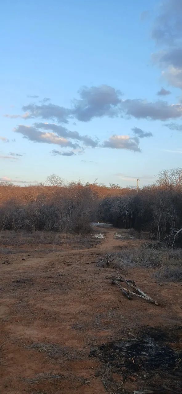 Fazenda Tocasul - Foto 2