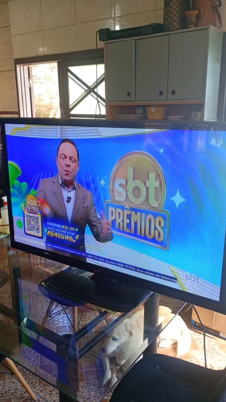 TV LCD plasma 