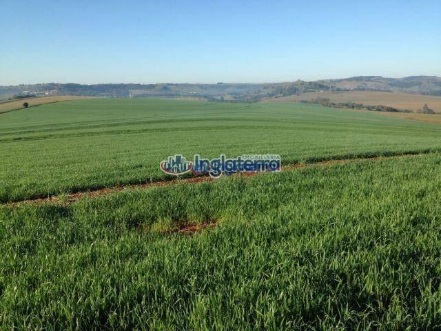 Fazenda à venda, 4982600 m² por R$ 18.000.000,00 - Centro - Santa Fé/PR - Foto 11