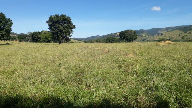 9 hectares terra região belo oriente - Foto 4