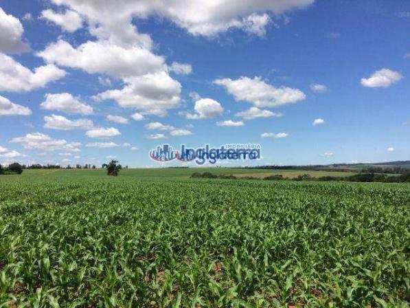 Fazenda à venda, 4982600 m² por R$ 18.000.000,00 - Centro - Santa Fé/PR - Foto 5