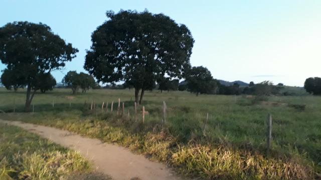 9 hectares terra região belo oriente - Foto 2