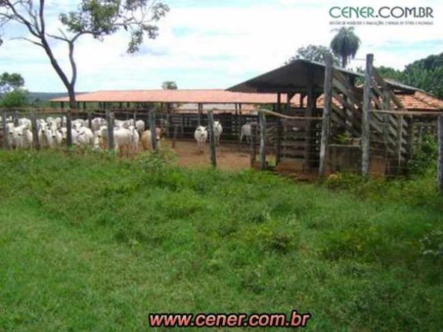 124C/Ótima fazenda de 600 hectares preparada para pecuária - Foto 16