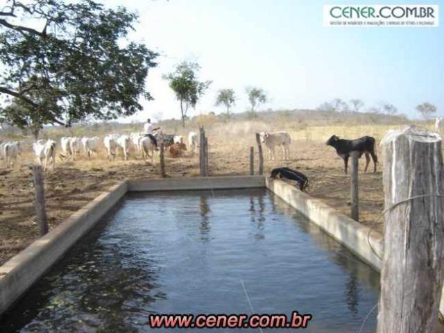 124C/Ótima fazenda de 600 hectares preparada para pecuária - Foto 14