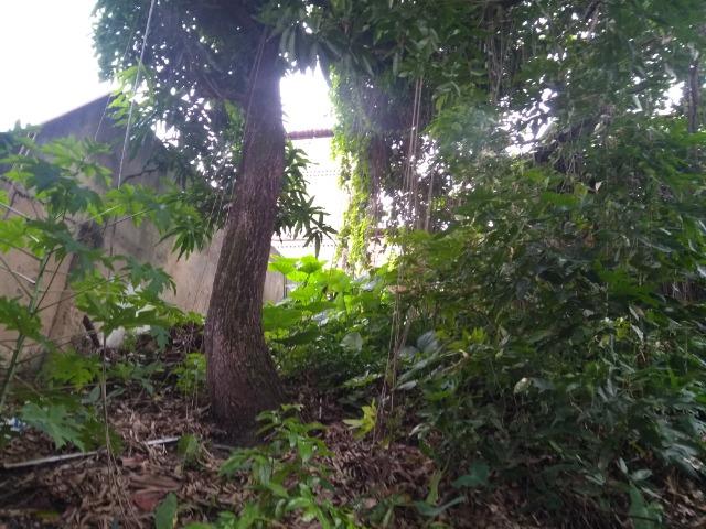 Casa com terreno 25 x 50 na Avenida Beberibe - Foto 5