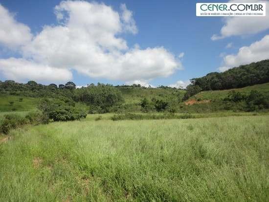 1313/Bela fazenda de 32 ha com linda casa antiga e restaurada - Foto 10