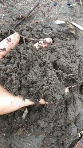 Culturao terra Preta agua por gravidade