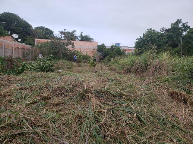 Venda de lote - Foto 4