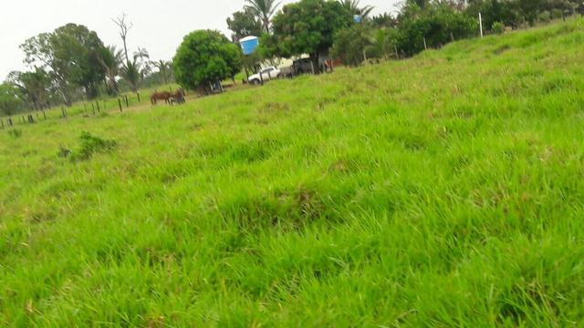 Fazenda - Foto 6