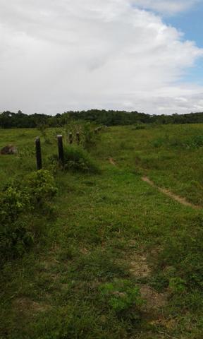 Fazenda em Roraima -São Luiz - Foto 6