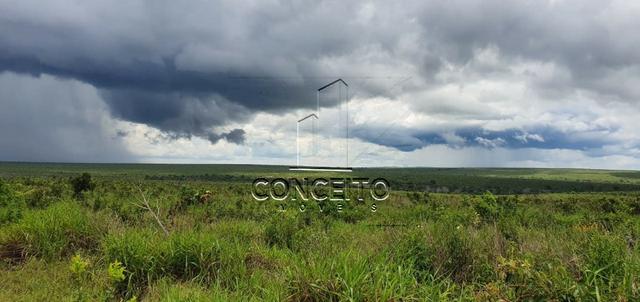 Fazenda na Região de Primavera - Foto 8