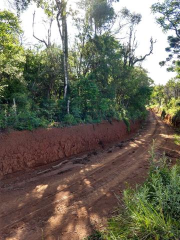 Terreno 3 alqueires próx: são Mateus do sul - Foto 2
