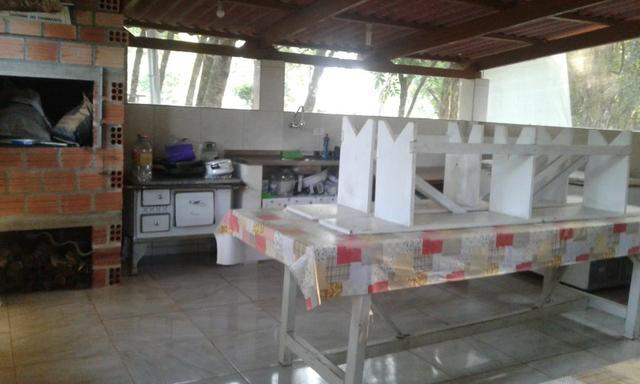 Vende-se chácara em Anta Magra - Quitandinha (cód. A354) - Foto 7