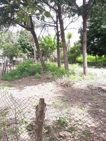 Terreno em barreirinhas