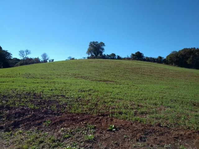 Chácara com 174.240m², casa, barracão, divisa com a Barragem do Rio Verde - Foto 5