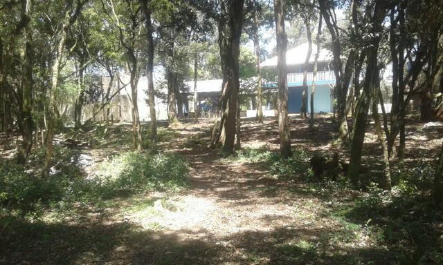 Vende-se chácara em Salso - Quitandinha (cód. A351) - Foto 13