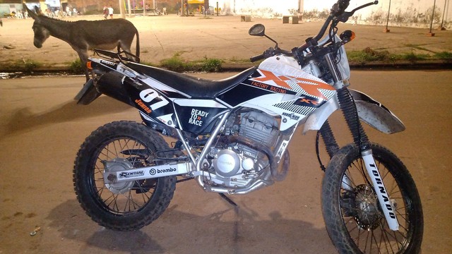 VENDO XR 250 TORNADO RALLY
