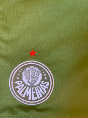 Palmeiras G novo  - Foto 2