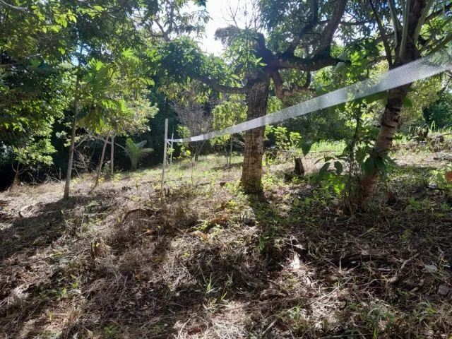VENDO ÁREA PARA SÍTIO OU VILLAGE 57X55=3.135m² MURADA NA FRENTE - Foto 9