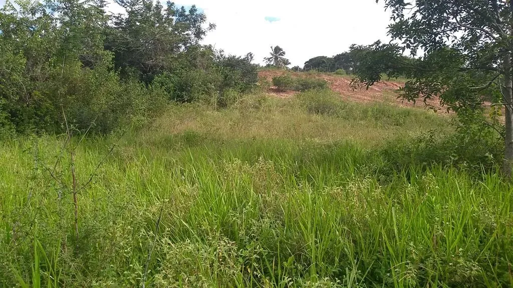 ÁREA A VENDA EM MACAÍBA, PRÓXIMO AO FERREIRO TORTO.