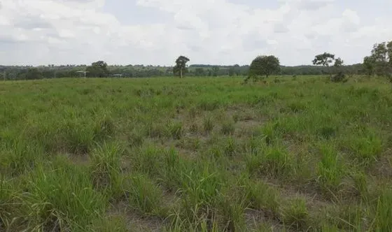VENDA DE FAZENDA MUNICÍPIO DE PEDRO AFONSO