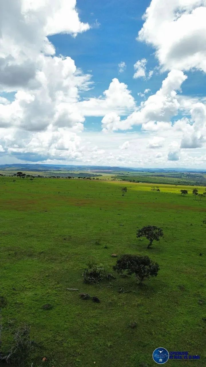 Fazenda de 40 Alqueires em Cocalzinho de Goiás - GO 40 Alqueires - Foto 5