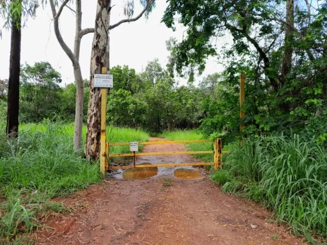 Chácara as margens da Go-020. A 55 km de Goiânia! - Foto 2