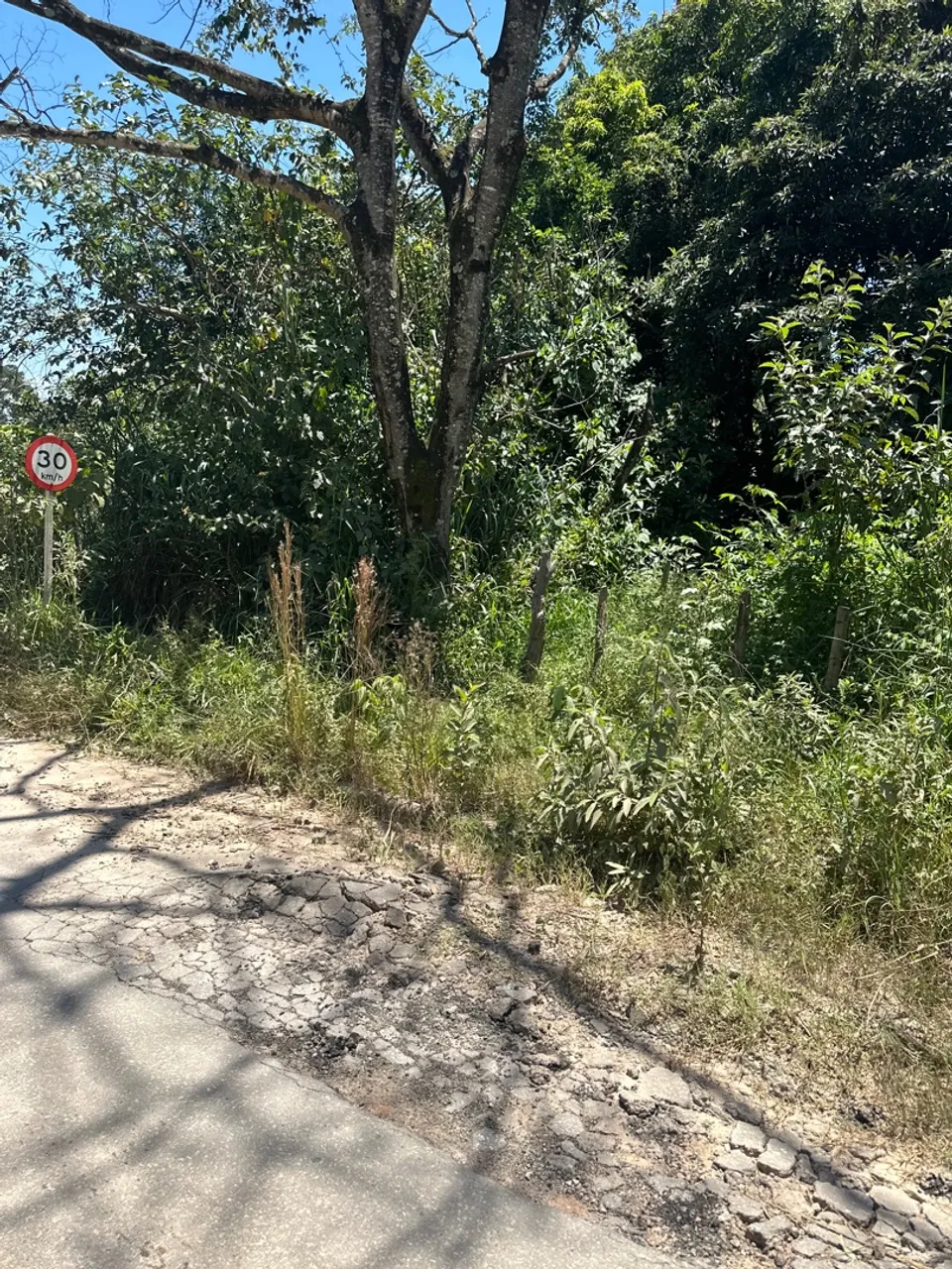 Lote São Joaquim de bicas