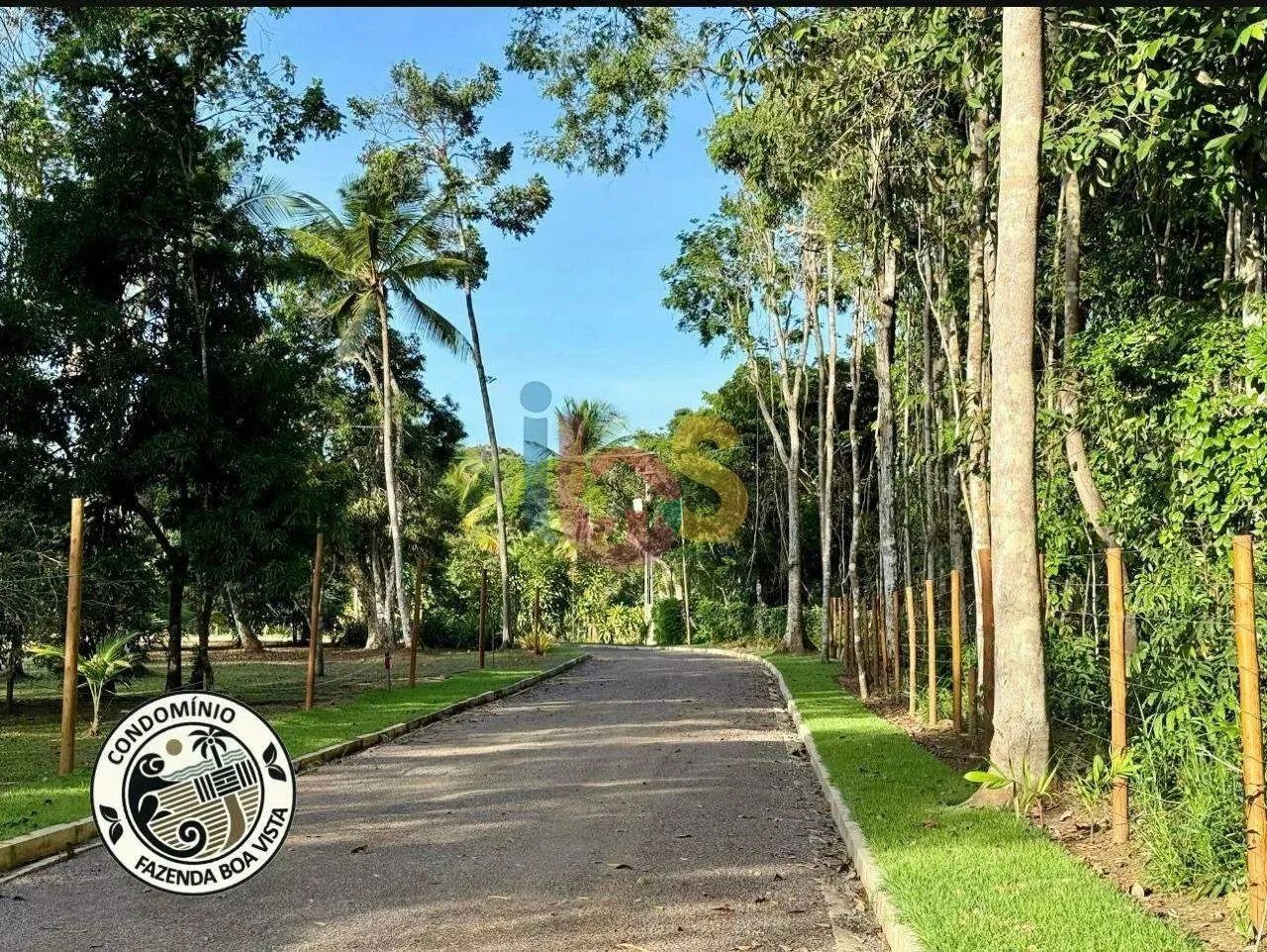 Lote à venda, 2 aderno - Itacaré/BA - Foto 4