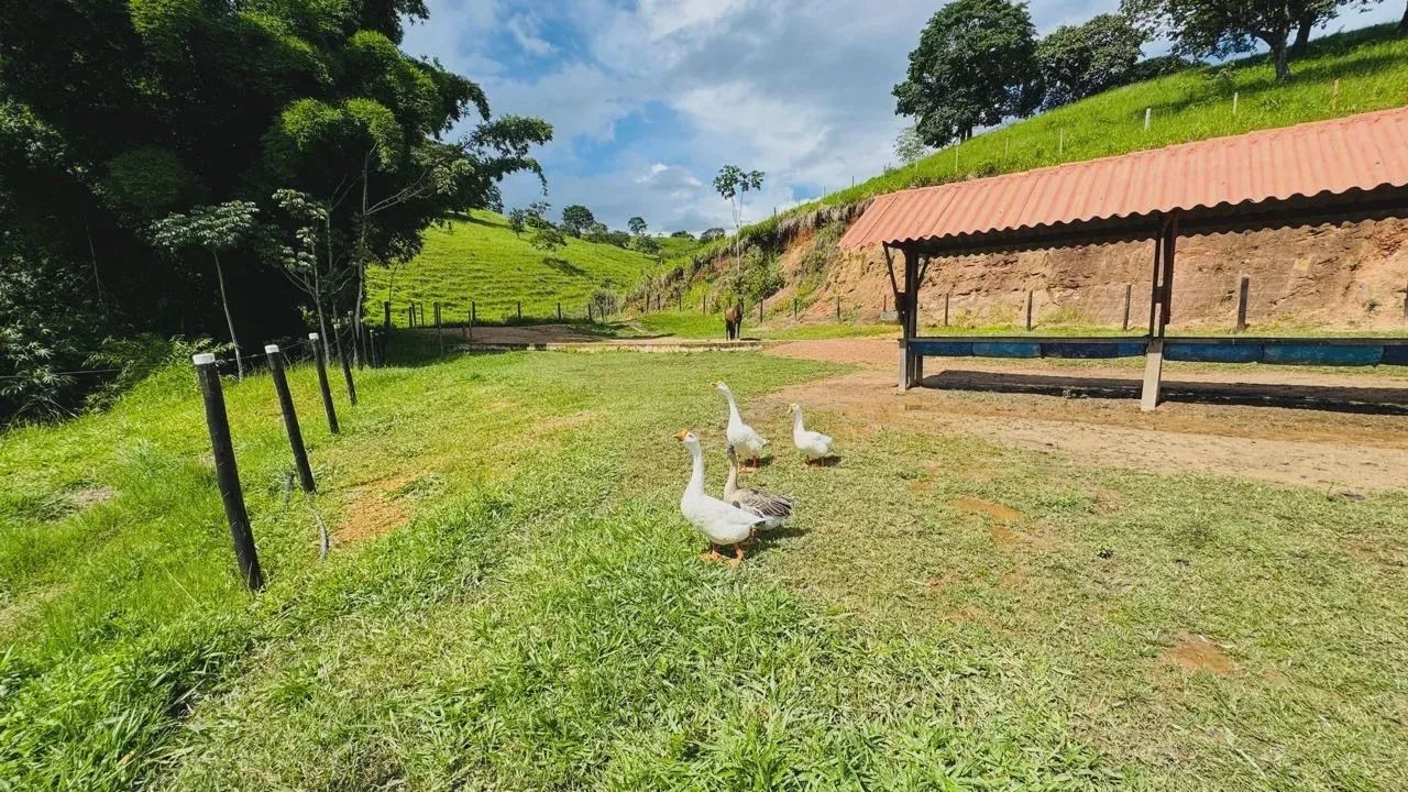 Imóvel para venda possui 550 metros quadrados com 5 quartos em Testo Salto - Blumenau - SC - Foto 8