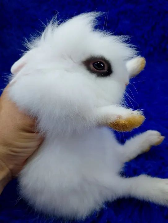 Marcação hottot mini Lion Head (ZAP na descrição  - Foto 2