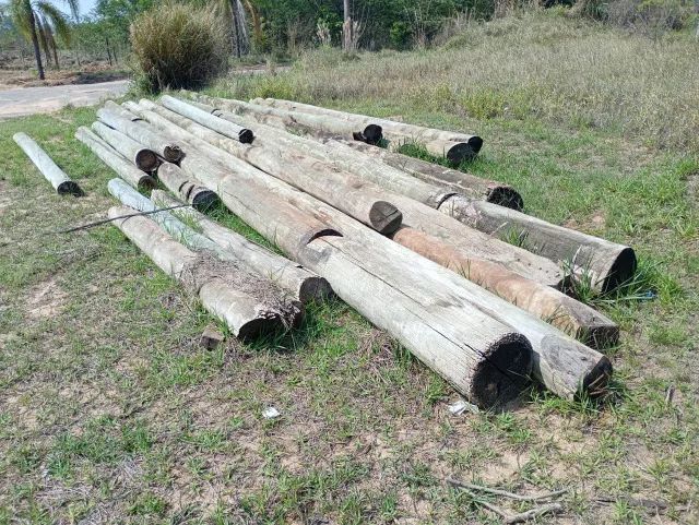 Madeira - Postes tratados - Foto 2