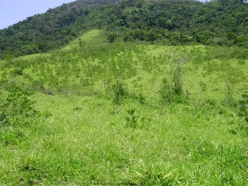 Fazendas para venda em Eldorado no bairro Batatal