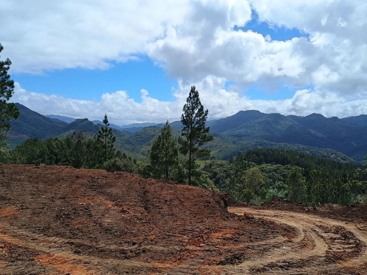 ANITÁPOLIS/SC - Terreno com vista panorâmica 2hectares  - Foto 3