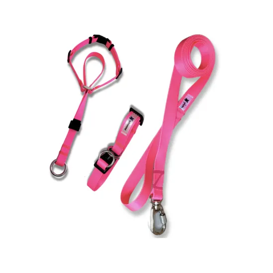 Coleira Kit Cabresto Petsteph Super Premium Rosa Neon Tamanho G