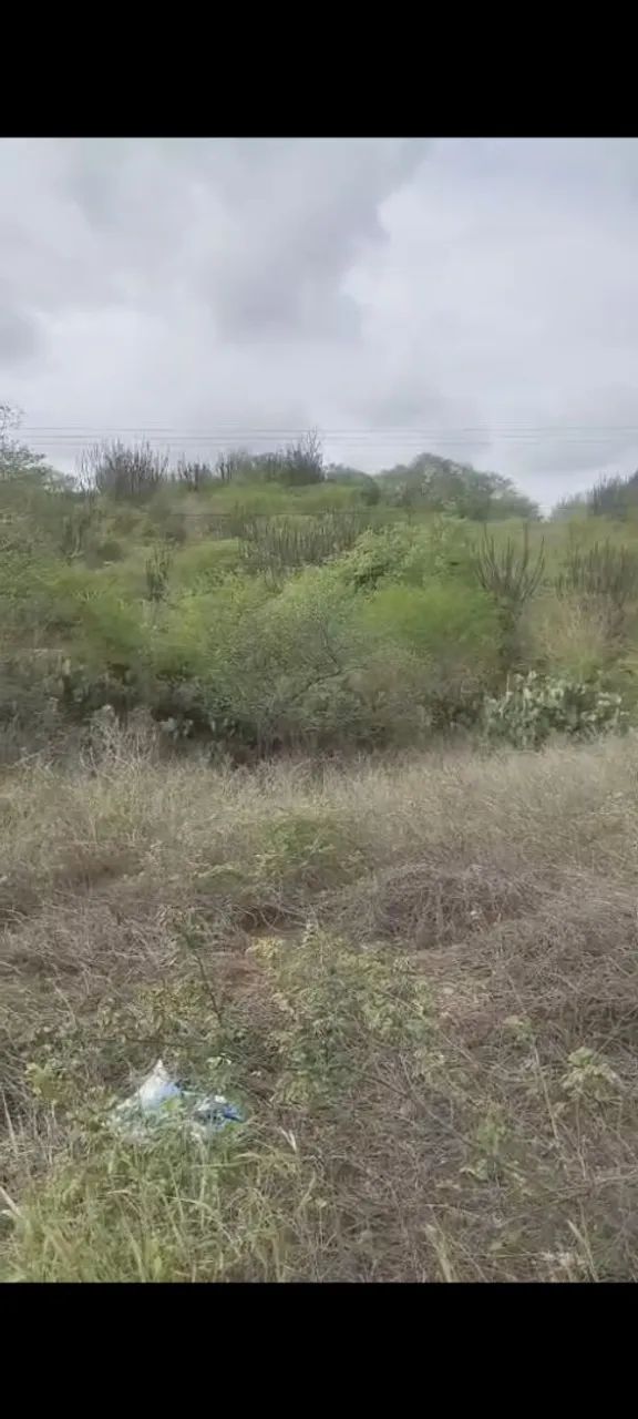 Sitio as margens da Br 230 em Pocinhos - Foto 2