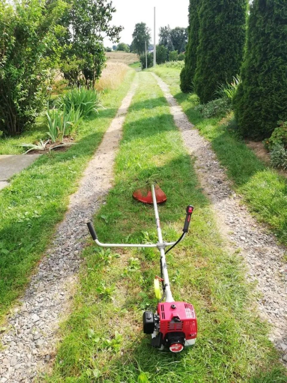 corte de grama , jardim , mato , limpeza de terreno - Foto 5