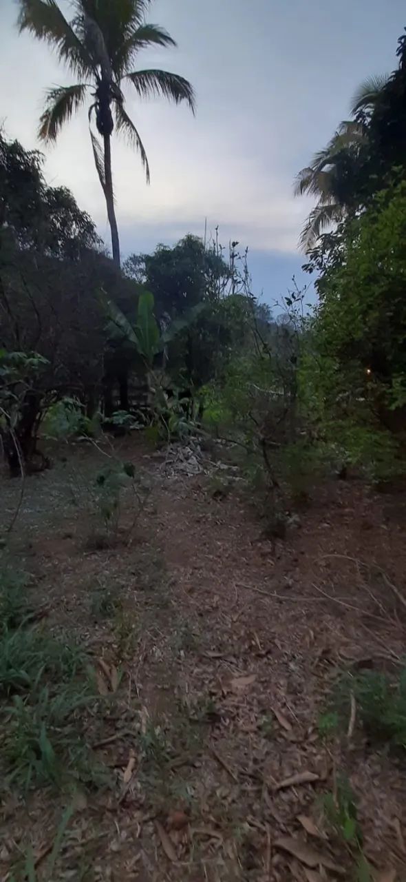 Terreno, 657 m² - Venda - Estrada do Bananal - Itaperuna/RJ - Foto 4