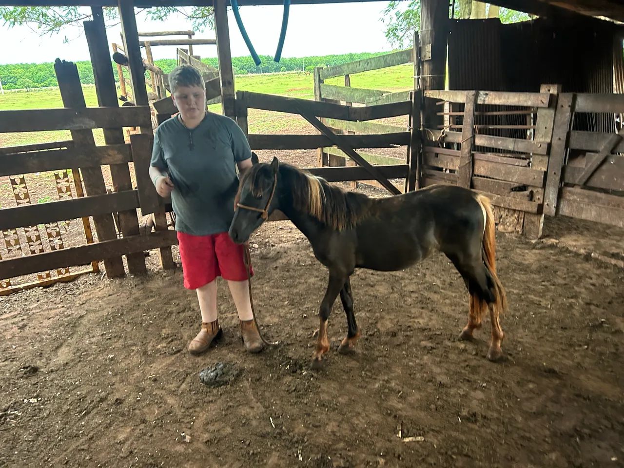 Mine Ponei  - Foto 4