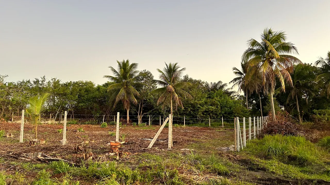 Terreno Escriturado em Igarassu